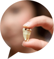 歯を失ってしまう理由とインプラント・入れ歯治療